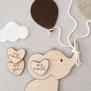Elephant Milestone Markers | Monthly Milestones | Baby Photo Prop ...