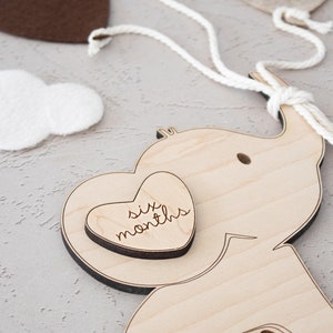 Elephant Milestone Markers | Monthly Milestones | Baby Photo Prop ...