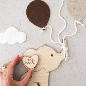 Elephant Milestone Markers | Monthly Milestones | Baby Photo Prop ...