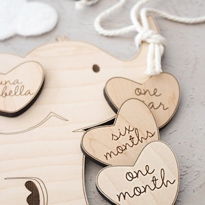 Elephant Milestone Markers | Monthly Milestones | Baby Photo Prop ...