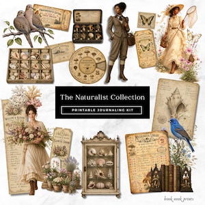 Op de afbeelding: Een collage van vintage illustraties en ephemera, met vogels, schelpen, paddenstoelen en een vrouw in historische kleding. De tekst luidt "The Naturalist Collection" en "Printable Journaling Kit".