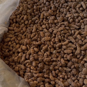 May include: A large, open bag filled with a mass of brown, peanut-shaped tubers. The tubers are densely packed, with a rough, textured surface. The overall color is a warm, earthy brown, suggesting a natural product.