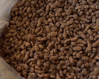 Tiger nuts dried/ Tiokon /chufa tubers/Aki - Haoussa 1lbs