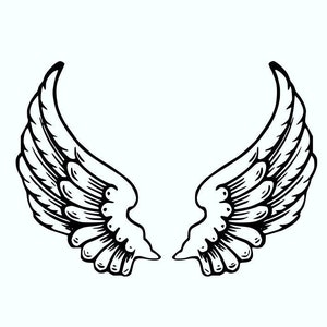 May include: A pair of black angel wings with detailed feather designs.