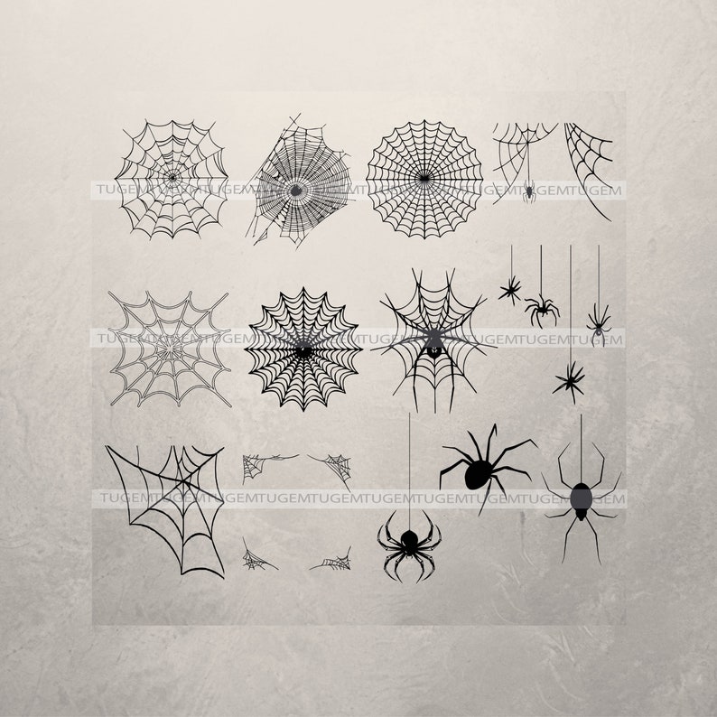 Spider Web Svg Clipart Spiders Hanging From Web Svg File for - Etsy
