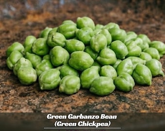 Green Garbanzo Bean (Green Chickpea) Seeds - Open-Pollinating -Drought Resistant -Cold Resistant- Self-Pollinating - Plant in Spring