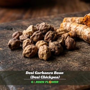 May include: A close-up shot of a pile of Desi Garbanzo Beans (Desi Chickpea) on a wooden surface. The beans are a mix of brown and tan colors. The text "Desi Garbanzo Bean (Desi Chickpea)" and "GARDEN FLOWER" is visible at the bottom.