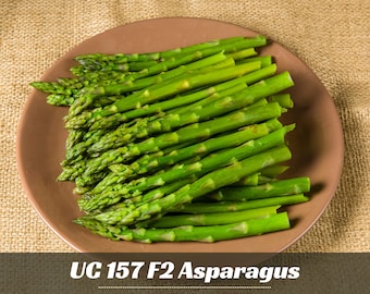May include: A round brown plate filled with a pile of fresh green asparagus spears. The text UC 157 F2 Asparagus is printed in white below the plate, followed by the green text GARDEN FLOWER with a small sunflower icon between the words.