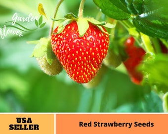110 seeds| Red Strawberry Seeds - Perennial -Authentic Seeds-Flowers -Organic. Non GMO -Vegetable Seeds-Mix Seeds for Plant-B5G1#5006