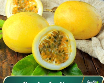 25s - Yellow Passion Fruit Seeds - Vine Seeds - Passiflora - Perennial Seeds - Blooms in Spring to Autumn - Passion Fruit Tree #New 5-10