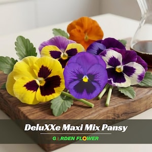May include: A collection of colorful pansies, including yellow, purple, and orange blooms, arranged on a wooden board. The flowers have dark centers and green leaves. The text "DeluXXe Maxi Mix Pansy" and "GARDEN FLOWER" are at the bottom.