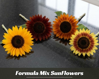 Mix Sunflower Seeds - Annual - Authentic Seeds - Edible - Herb Seeds – Clumping - Easy To Grow - Planting In Spring
