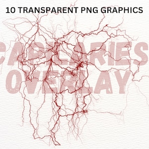 Puede incluir: Superposición gráfica roja y blanca con el texto "CAPILLARIES OVERLAY" sobre un fondo blanco. El gráfico es una red de finas líneas rojas que se asemejan a capilares.