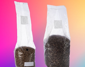 Mono tub refill kit - 2kg Coco Coir Vermiculite (+gypsum) Substrate + 1KG Rye grain spawn - mushroom cultivation