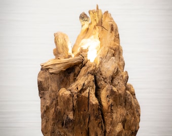 Driftwood Lamp Sculpture "Blooming"