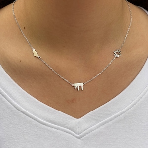 Kfir necklace Israel symbols