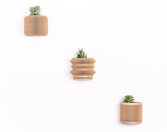 Set van 3 houten wandplantenbakken - Minimalistische en moderne wandbloempot - Plant en cactus - Origineel cadeau-idee