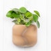 see more listings in the Wall Planter section