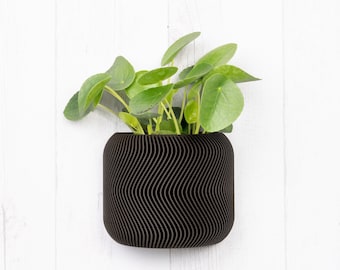 Ebony wood wall planter - Drain - Minimalist and modern wall mounted flower pot - Plant and cactus - Original gift idea