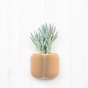 Wandpflanzgefäß aus Holz mit Drainage und Reservoir - Minimalistischer und moderner Wandblumentopf - Pflanze und Kaktus - Originelle Geschenkidee