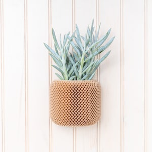 Wandpflanzer aus Holz | Wandvase | Hängepflanzer aus Holz | Wandpflanztopf | Wandpflanzgefäß für den Innenbereich | Pflanzer
