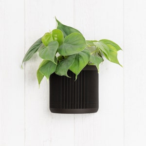 Wandpflanzer aus Ebenholz - Minimalistischer und moderner Wandblumentopf - Pflanze und Kaktus - Originelle Geschenkidee