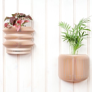 Set aus 2 Wandpflanzgefäßen aus Holz – Minimalistischer und moderner Wandblumentopf – Pflanze und Kaktus – Originelle Geschenkidee