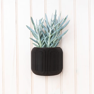May include: A dark brown, ribbed, cylindrical planter with a succulent plant with light green leaves. The planter is mounted on a white wood wall.