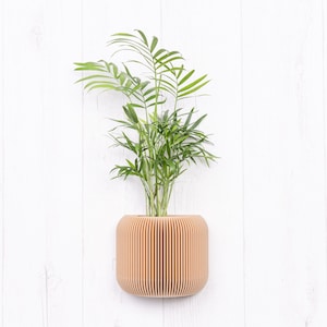 Wooden wall planter Japan Minimalist and modern wall mounted flower pot Plant and cactus Original gift idea image 1