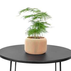 Blumentopf / Japan-Blumentopf - Bedruckt aus hellem Holz - Pflanze und Kaktus - Originelle Geschenkidee