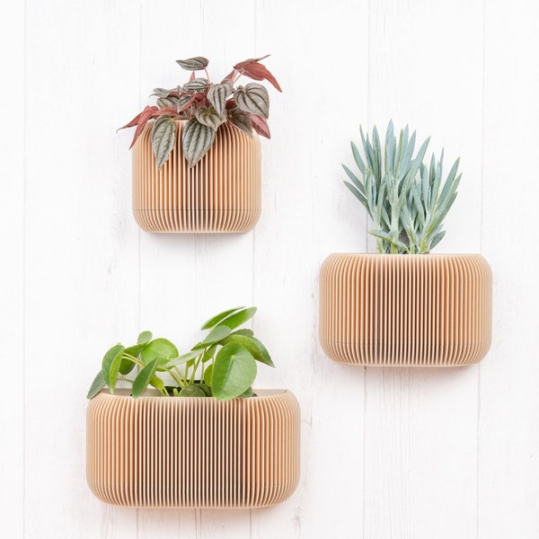 Jardinière murale en bois avec drainage et réservoir - Pot de fleur mural minimaliste et moderne - Plante et cactus - Idée cadeau original