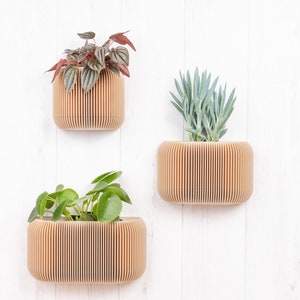 Wooden wall planter with drainage and reservoir - Minimalist and modern wall planter - Plant and cactus - Original gift idea