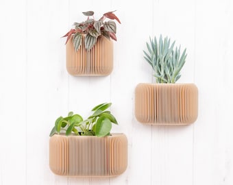 Jardinière murale en bois avec drainage et réservoir - Pot de fleur mural minimaliste et moderne - Plante et cactus - Idée cadeau original