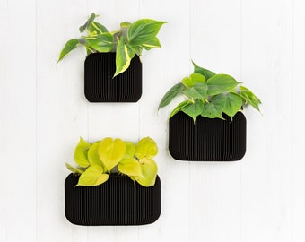 Wooden wall planter with drainage and reservoir- Black ebony - Minimalist and modern wall planter - Plant and cactus - Original gift idea