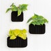 see more listings in the Wall Planter section