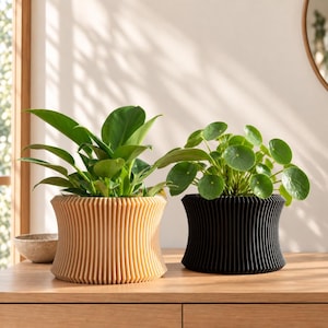 Puede incluir: Dos macetas cilíndricas con texturas acanaladas verticales, una de color beige claro y otra negra. Cada maceta contiene una planta de interior verde con follaje distintivo, con hojas anchas en la maceta beige y hojas redondas en la negra.
