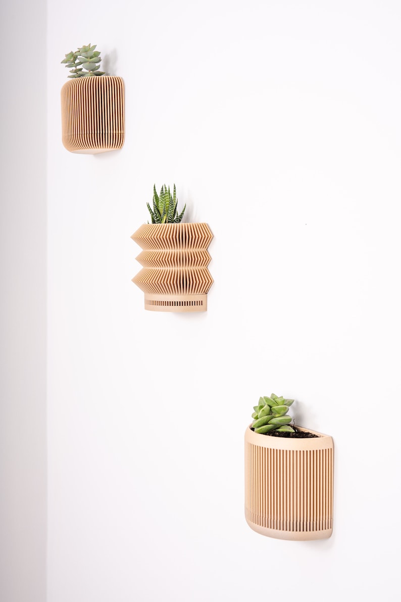 Wooden wall planter Japan Minimalist and modern wall mounted flower pot Plant and cactus Original gift idea image 9