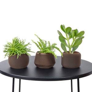Set mit 3 Pflanztöpfen / Blumentopf aus dunklem Holz bedruckt – Pflanze und Kaktus – originelle Geschenkidee