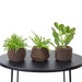 see more listings in the Wood planter section