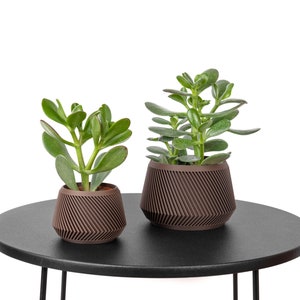 Olympe Pflanzentopf / Blumentopf - Dunkler Holzdruck - Pflanze und Kaktus - Originelle Geschenkidee