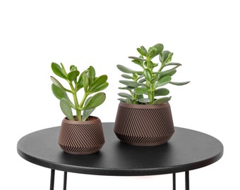 Planter / Flowerpot design and original Olympe - Dark wood print - Plant and cactus - Original gift idea