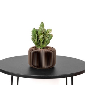 Peut inclure: Un petit cactus vert dans un pot en bois brun posé sur une table ronde noire avec de fines pattes en métal noir.