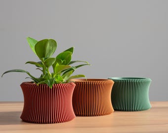 Drewniana doniczka – doniczka do wnętrz w stylu boho – ekologiczny i minimalistyczny wystrój