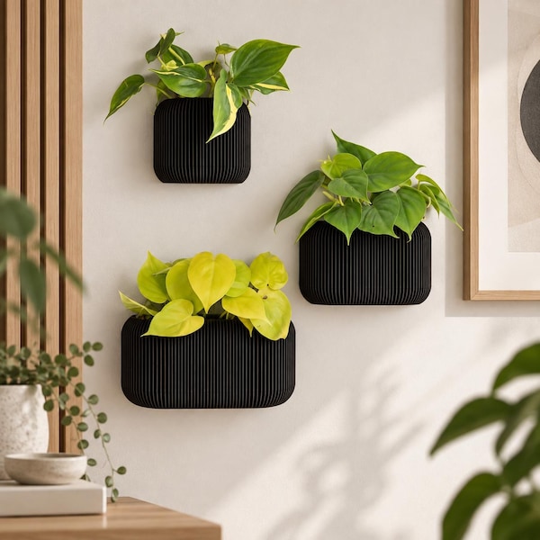 Wood Indoor Wall Planter with Drainage and Removable Magnetic Drip Tray