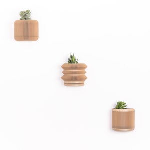 Wooden wall planter Japan Minimalist and modern wall mounted flower pot Plant and cactus Original gift idea image 10