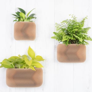 May include: Three wooden wall planters with wavy, textured sides, each holding a different green plant. The planters are rectangular and square, mounted on a white wooden wall. The plants vary in color and texture.