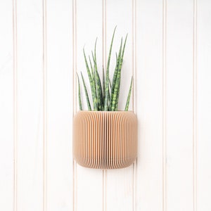 Wooden wall planter Japan Minimalist and modern wall mounted flower pot Plant and cactus Original gift idea image 3