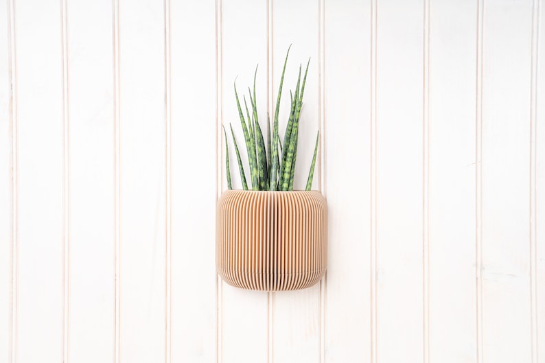 Wooden wall planter Japan Minimalist and modern wall mounted flower pot Plant and cactus Original gift idea image 3