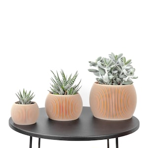 Curve-Pflanztopf / Blumentopf - Bedruckt aus hellem Holz - Pflanze und Kaktus - Originelle Geschenkidee