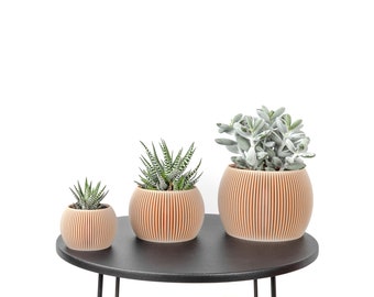 Curve Plantpot / Bloempot - Gedrukt in licht hout - Plant en cactus - Origineel cadeau-idee
